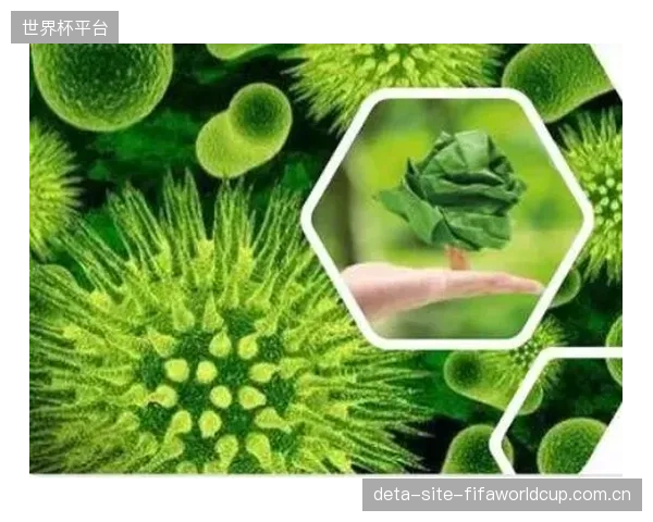 市场的下一个风口：基于生物基材料的新型环保干粉，将从2026年开始逐步替代现有化学干粉灭火剂